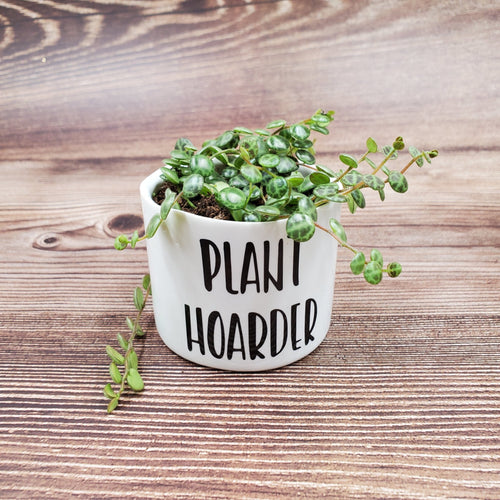 Set of 6 Punny plant pots PLANTS NOT INCLUDED Ceramic pots with cheerful funny sayings on them - My Other Child / Blooms n' Rooms
