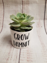 Load image into Gallery viewer, Set of 9 Punny plant pots PLANTS NOT INCLUDED Ceramic pots with cheerful funny sayings on them - My Other Child / Blooms n&#39; Rooms