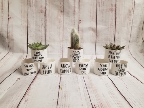 Set of 9 Punny plant pots PLANTS NOT INCLUDED Ceramic pots with cheerful funny sayings on them - My Other Child / Blooms n' Rooms