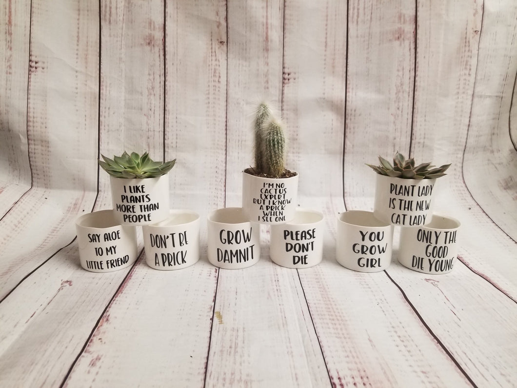 sayings for plant pots Set of 9 Punny plant pots PLANTS NOT INCLUDED Ceramic pots with cheerf – My Other Child / Blooms n' Rooms
