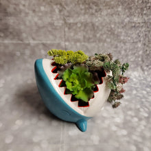 Load image into Gallery viewer, Shark Planter | Ceramic - My Other Child / Blooms n&#39; Rooms