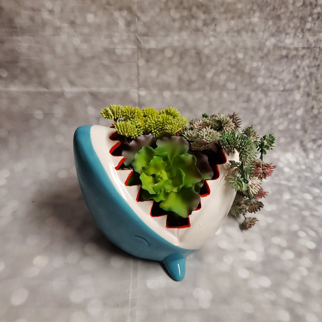 Shark Planter | Ceramic - My Other Child / Blooms n' Rooms