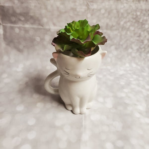 Sweetie Cat Planter | Ceramic - My Other Child / Blooms n' Rooms