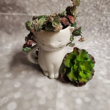 Load image into Gallery viewer, Sweetie Cat Planter | Ceramic - My Other Child / Blooms n&#39; Rooms