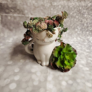 Sweetie Cat Planter | Ceramic - My Other Child / Blooms n' Rooms