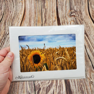 Wheat and Sunflower | Blank Photo Card - My Other Child / Blooms n' Rooms